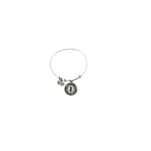 Alex and Ani Silver Charm Bracelet